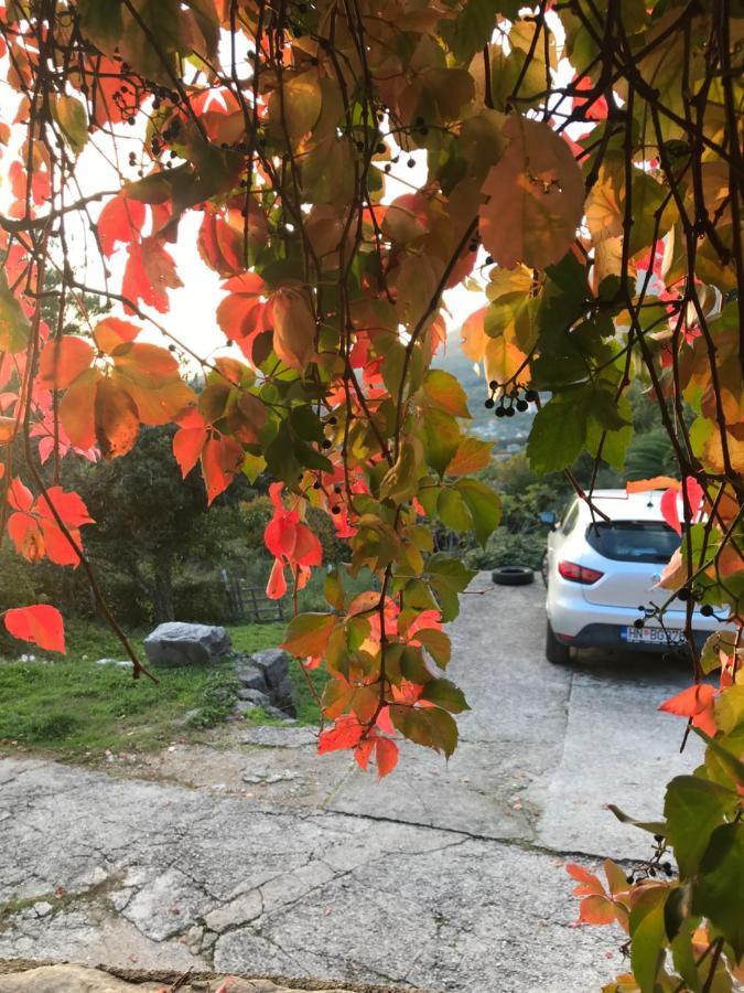 Etno Village Mihailovic II Herceg Novi Kültér fotó